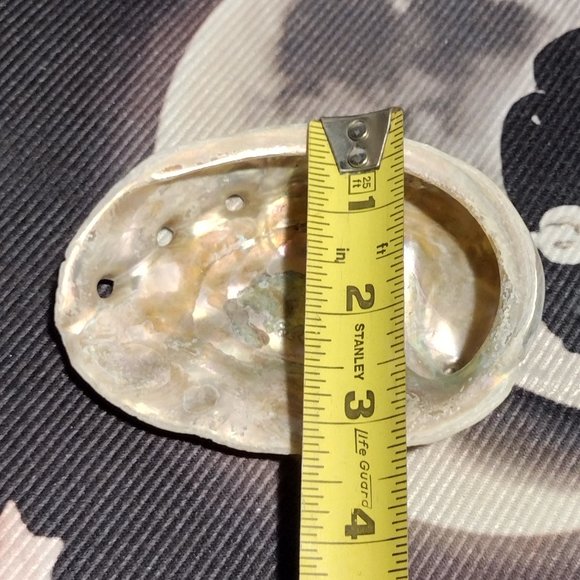 Small Abalone Seashell w/Smudge - Picture 5 of 5